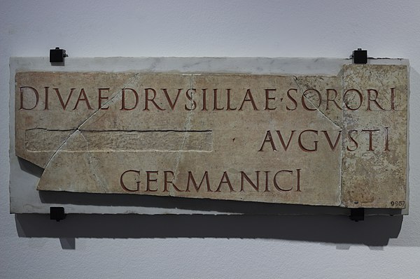 Inscription found at Caere (Etruria), dedicated to deified Drusilla, sister of Caius Augustus, whose name is cancelled. CIL XI, 3598