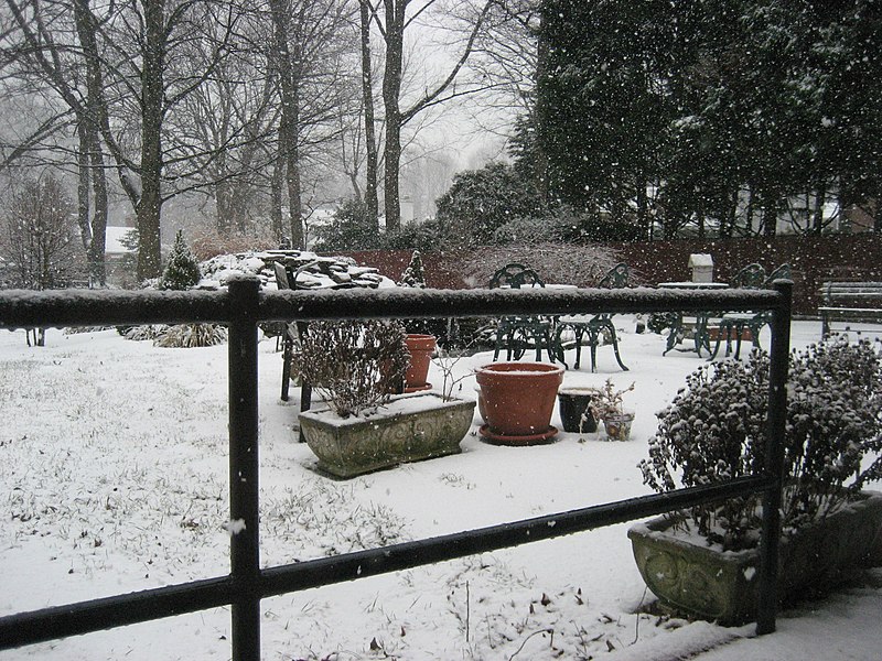 File:It's snowing again (418049858).jpg