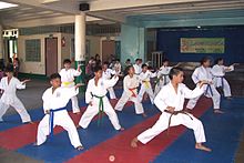 Karate Dojo, Bacolod City, Filipina