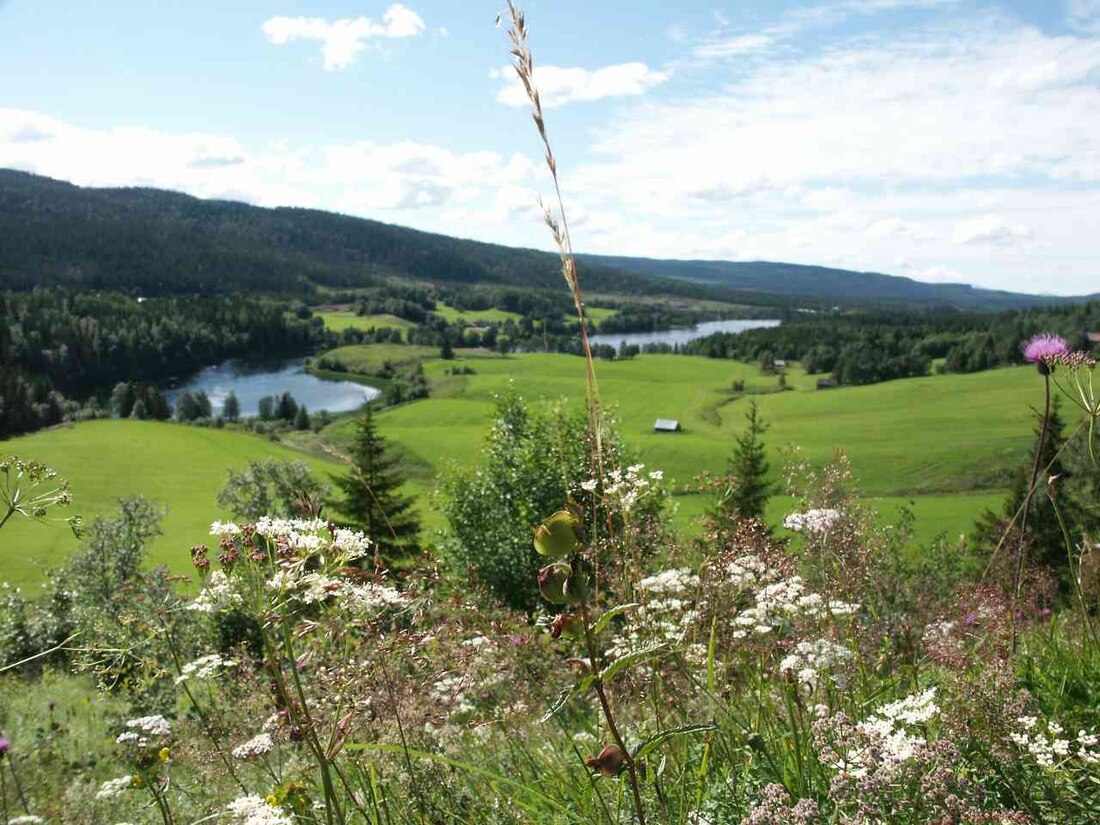 Jämtland