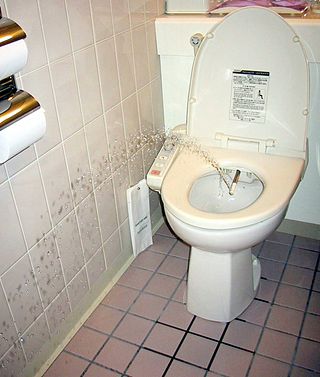 <span class="mw-page-title-main">Toilets in Japan</span> Description of toilets in Japan