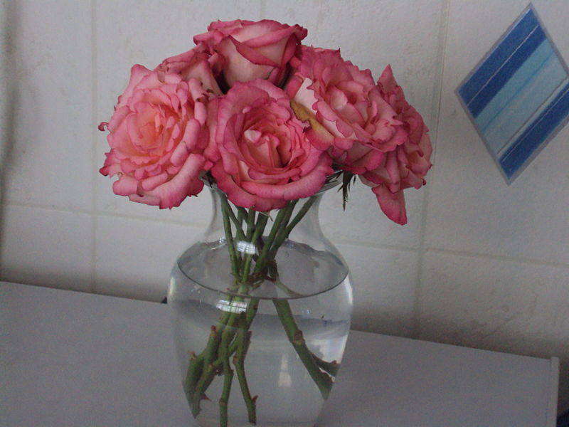 File:Jar of Roses, DSC09931.JPG