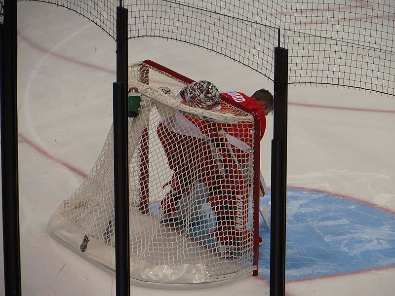 File:Jimmy Howard, Detroit Red Wings (21703094915).jpg