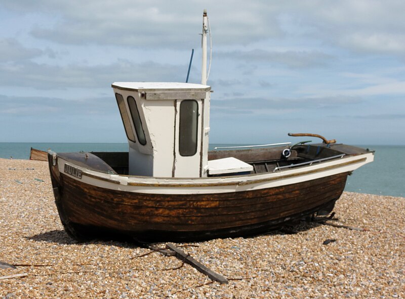 File:Julie in closeup on Walmer beach - geograph.org.uk - 4617754.jpg