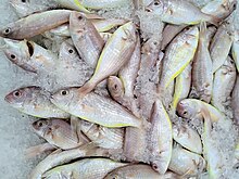 Jaoanese threadfin bream in a Malaysian fish market Kerisi at Giant Hypermarket Kota Damansara 20230203 105358.jpg