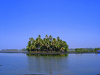 <span class="mw-page-title-main">Kumbalangi</span> Island village close to Kochi in Kerala, India