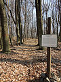 Informačná tabuľa označujúca chránené územie národnú prírodnú rezerváciu Kyjovský prales