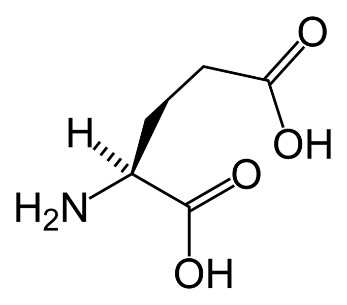 صورة:L-glutamic-acid-skeletal.png