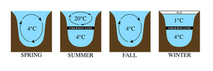 Typical mixing pattern for a dimictic lake. This does not occur in meromictic lakes LSE Stratification.png