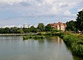 Lake in Burgess Park.