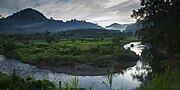 Thumbnail for Meru Betiri National Park