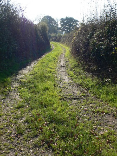 File:Lane near Marton Lane Farm - geograph.org.uk - 594798.jpg