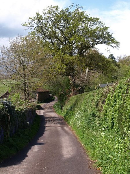 File:Lane past Hearn Farm - geograph.org.uk - 1279704.jpg