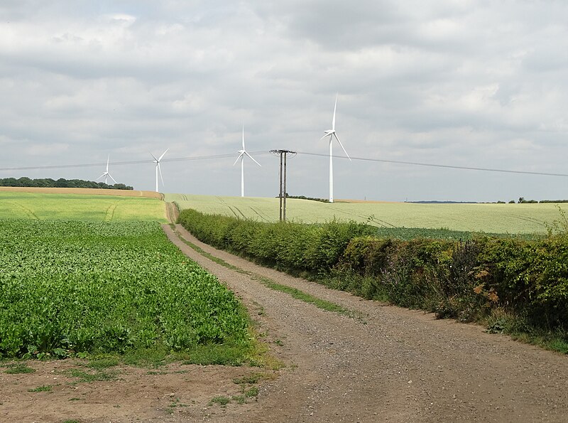 File:Ling Field Road - geograph.org.uk - 4572268.jpg