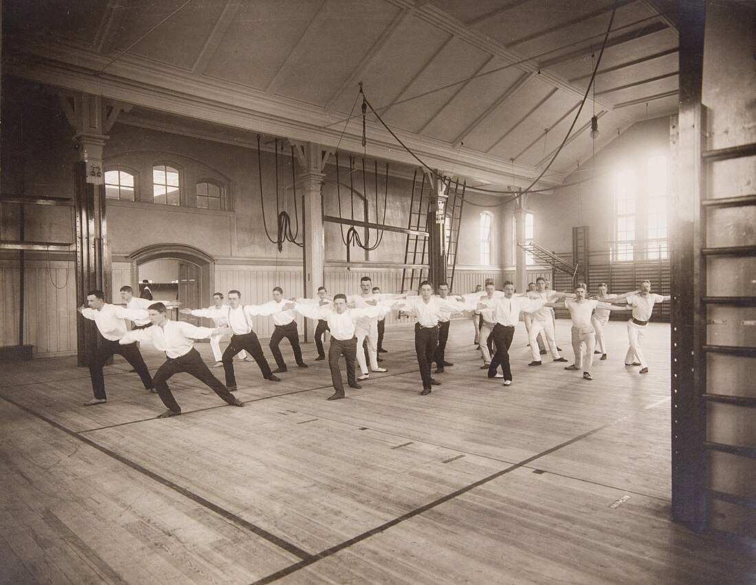 Gymnastique suédoise