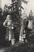 Tyttebærplukkere fra Värmland i Sverige 1908. Foto: Nordiska Museet