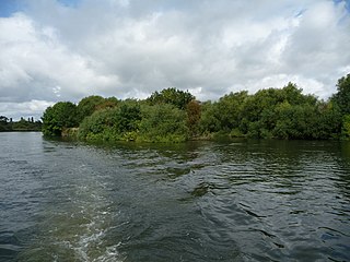 Lion Island (Old Windsor) island in the River Thames