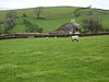 Looking north to Hollin's Farm - geograph.org.uk - 1580735.jpg