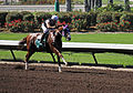 Los Alamitos Sept 2014 IMG 6802 (15131212068).jpg