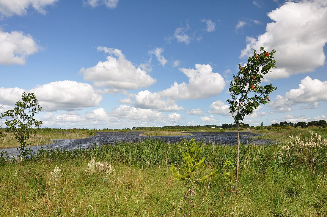 Boora Bog