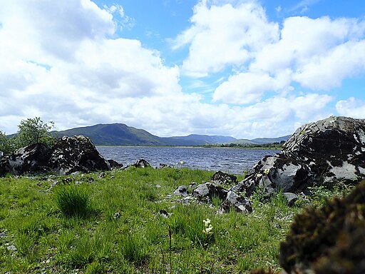 Lough Mask looking south from a point on west shore