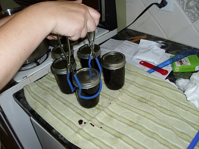 File:Making Blueberry Jam 7.jpg