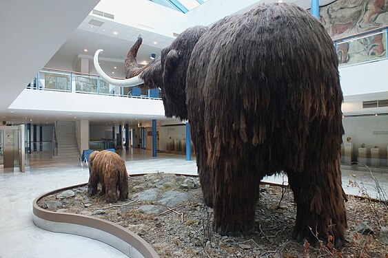 Model of a mammoth and its young in the Anthropos Pavilion of the Moravian Museum in Brno, the Czech Republic