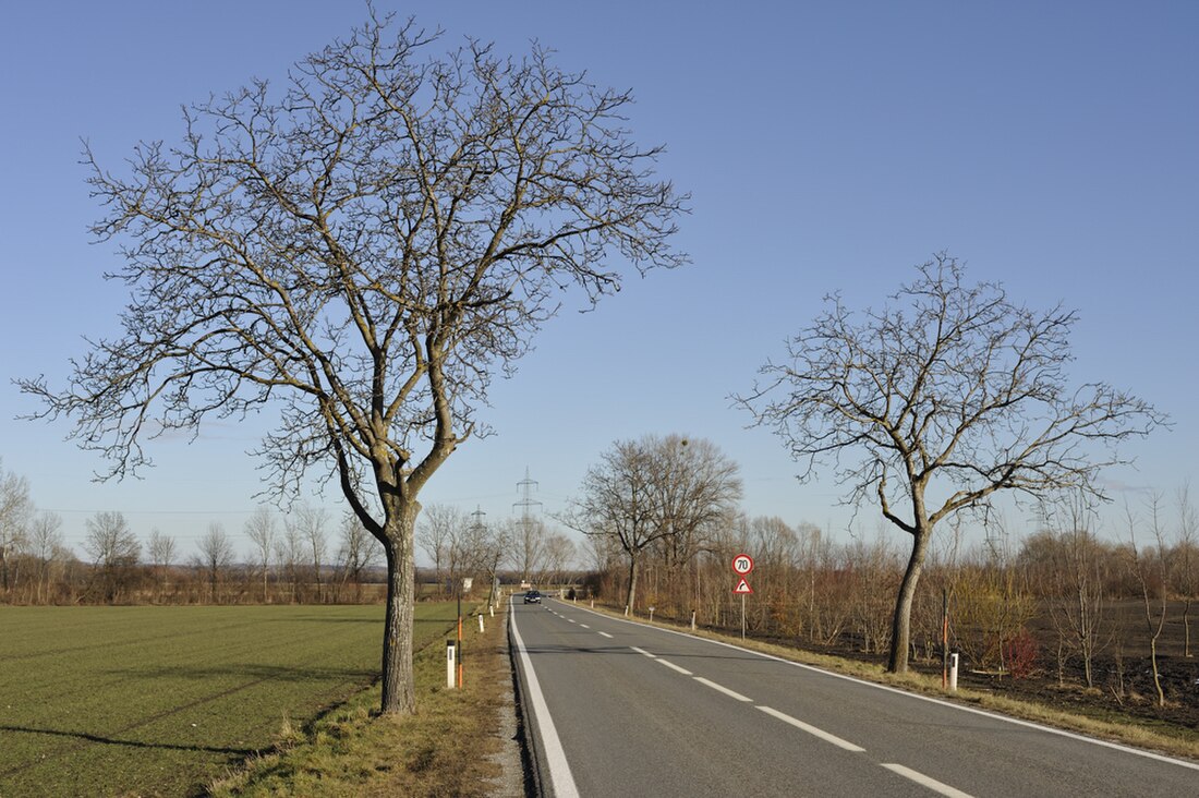 Mannersdorfer Straße