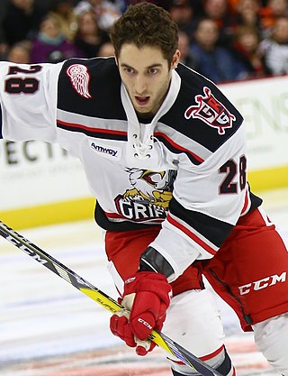 <span class="mw-page-title-main">Matt Lorito</span> Canadian ice hockey player (born 1990)