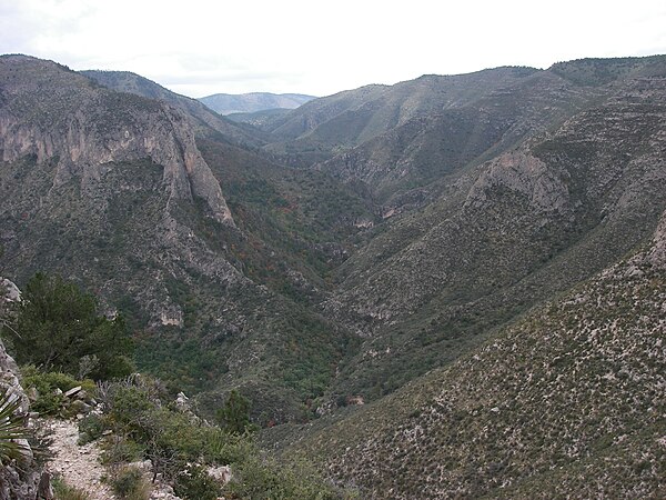 View of McKittrick Canyon from the Guadalupe Mountains