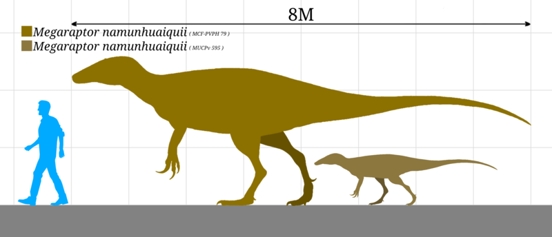 Plik:Megaraptor namunhuaiquii size chart.png