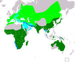 Milvus migrans – Verbreitung