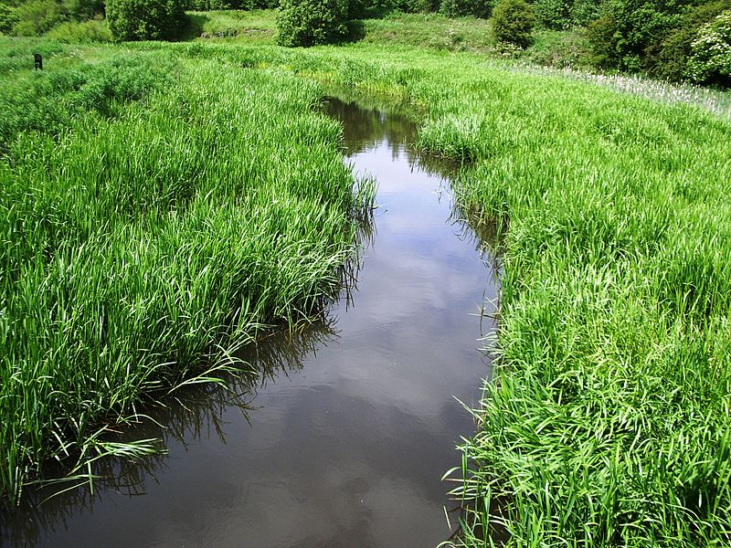 File:MonklandCanalFaskineBasin.JPG