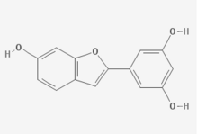 Moracin M. png