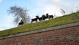 'Ecopaturage' on a Historical Monument, the Citadel of Lille, by Soay sheep in a closed area. Their coats, hoofs and manure help to disperse plant seeds. MoutonSoaySoaySheepUrbanGrazing2012LilleCitadelleLamiotF 05.JPG