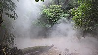 Mount Makiling is a sacred site famous for ethnomedicine and its healers