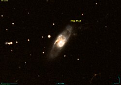NGC 1134 DSS.jpg