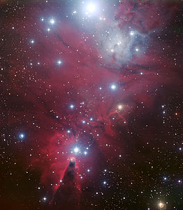 ヨーロッパ南天天文台のラ・シヤ天文台で撮影されたNGC2264。