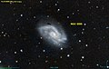 NGC 5595 PanS.jpg