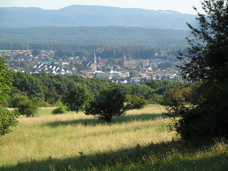 File:NSG Magerwiesen am Eulenkopf, Erzenhausen 1.jpg