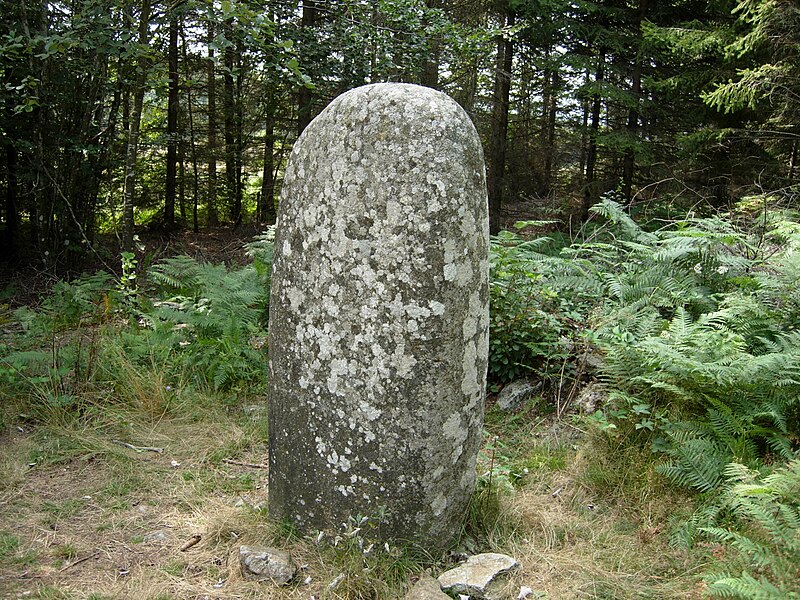 File:Nages menhir du Tribi.JPG