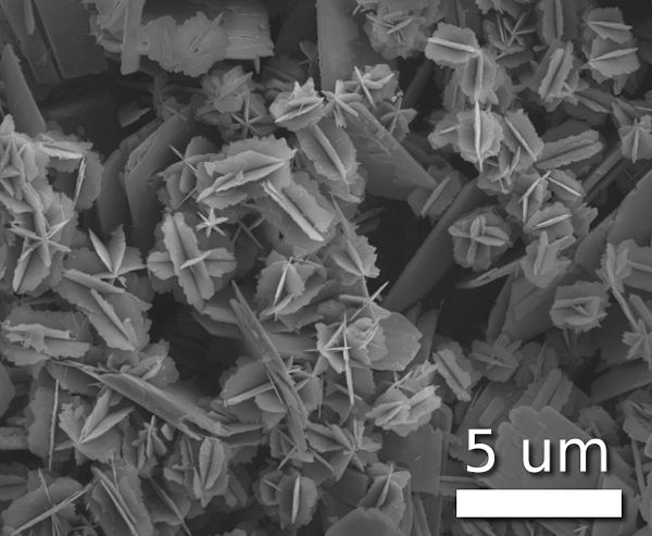 Nanostars of vanadium(IV) oxide (VO2) exhibiting a crystal clusters structure resembling that of desert roses