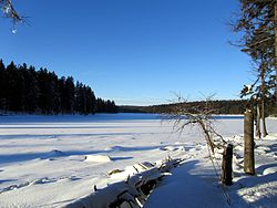 Stausee „Oderteich“ im Harz im Winter: Seeblick vom Ostufer.