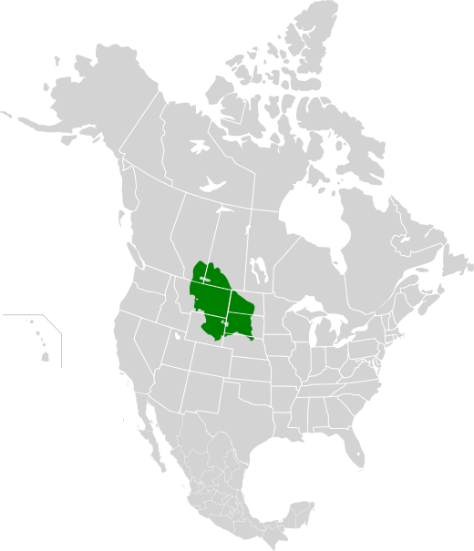 The northern short grasslands (WWF terminology) shown here on a map of North America in green, is a type of true prairie (grassland) that occurs in the southern parts of the Prairie Provinces.