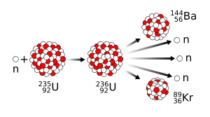 The nuclear reaction theorised by Meitner and Frisch and observed by Hahn and Strassmann Nuclear fission reaction.svg