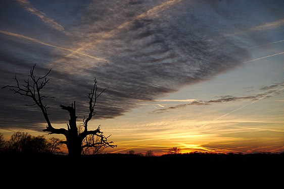 Sunset in Rogalin, Poland