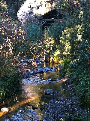 Old Mill Creek with Old Mill, Mill Valley, CA Hugh Kuhn Winter 2011.jpg