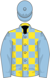 <span class="mw-page-title-main">Channel (horse)</span> Irish-bred racehorse