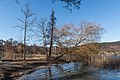 * Nomination Park at the Landscape Protection Area on the peninsula promenade, Pörtschach, Carinthia, Austria -- Johann Jaritz 03:25, 17 March 2022 (UTC) * Promotion  Support Good quality. --XRay 04:50, 17 March 2022 (UTC)