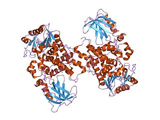 Myotubularin